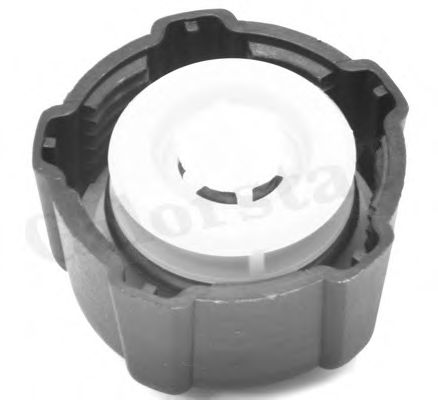 Кришка розшир.бачка радіатора Renault Clio/Kangoo/Laguna/Master/Megane/Scenic/Trafic 1.2-3.5 86-  арт. RC0016