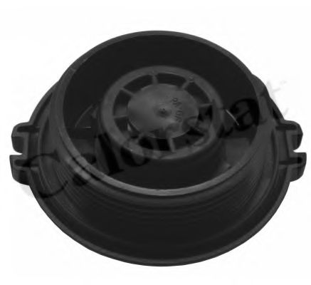 RC0162 VERNET Кришка розширювального баку  арт. RC0162