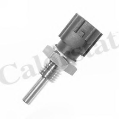 WS3001 VERNET Датчик температури охолоджуючої рідини  арт. WS3001